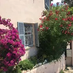 Des Terres Chaudes Proche Bord De Menton