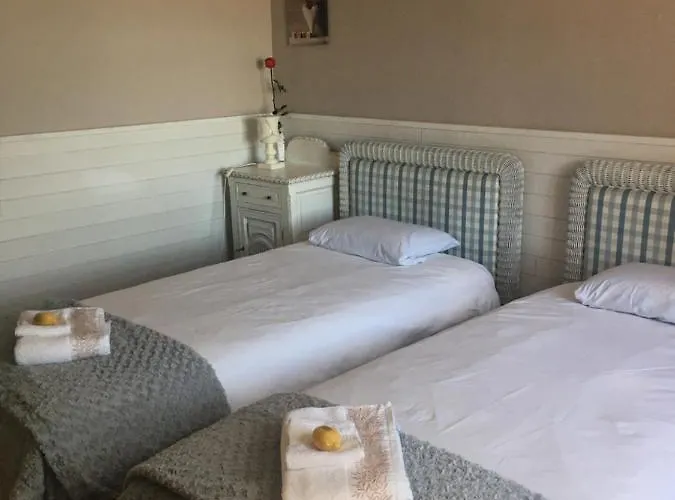 Des Terres Chaudes Proche Bord De