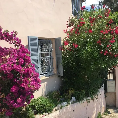 Des Terres Chaudes Proche Bord De Mentona