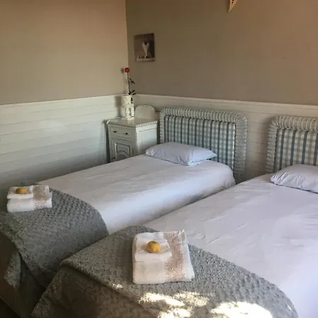 Des Terres Chaudes Proche Bord De