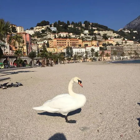 Apartmán Des Terres Chaudes Proche Bord De Menton