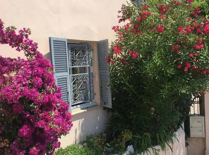 Des Terres Chaudes Proche Bord De Menton