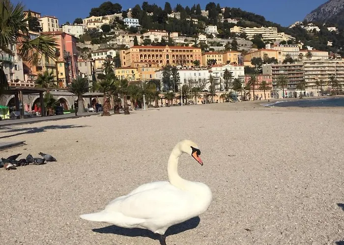 Apartment Des Terres Chaudes Proche Bord De Menton