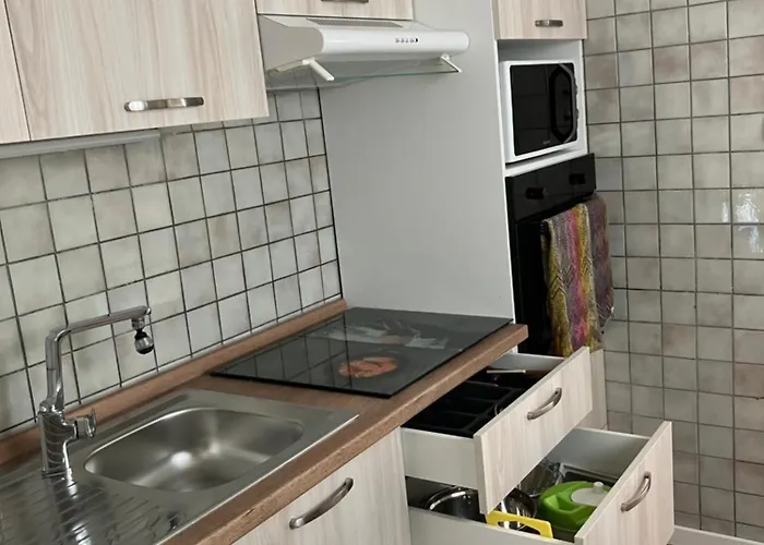 Des Terres Chaudes Proche Bord De *